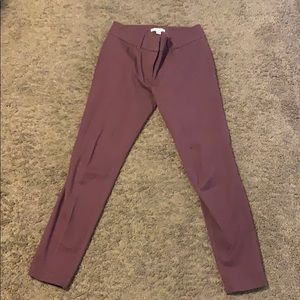 New York & company pants